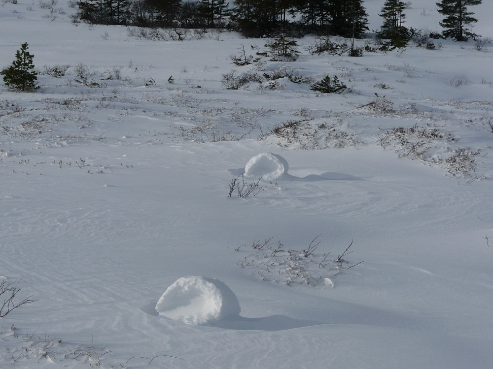 Naturen har trillet snøball