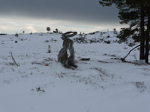 Naturens kunstverk