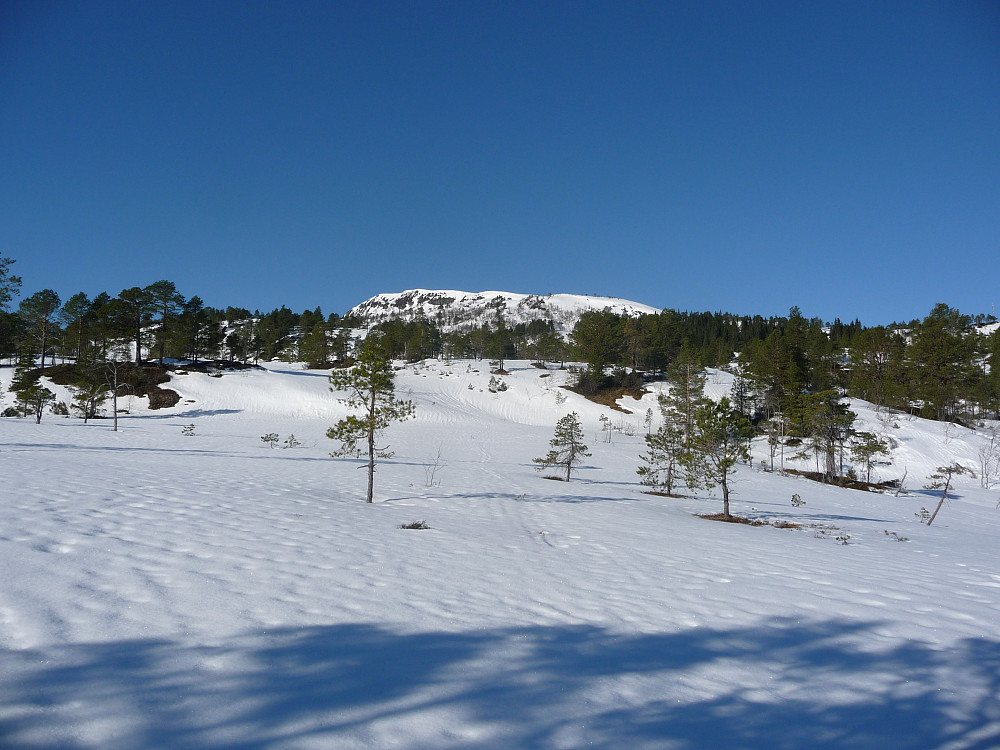 Dagens mål
