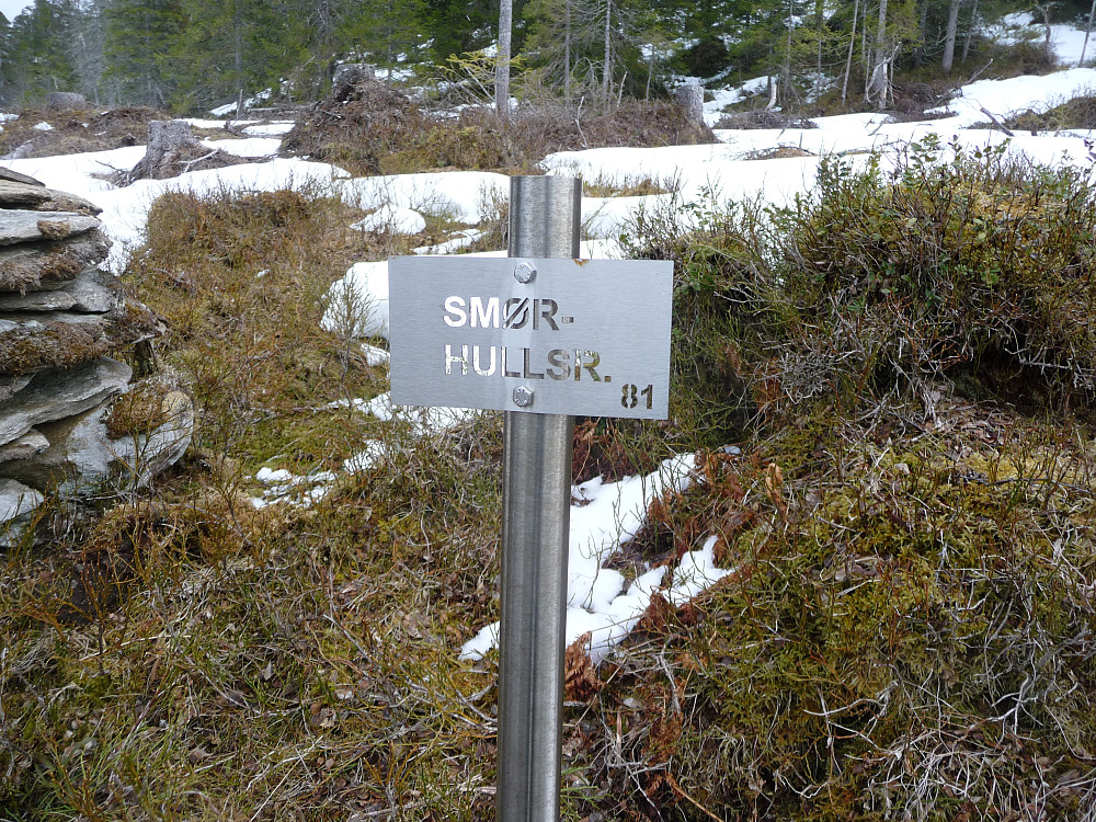 Markering av seterplass på grensa mellom Leksvik og Inderøy. grensemerke til venstre er laget av steiner fra grunnmur/gruve.