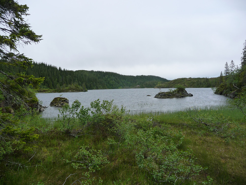 Osvatnet