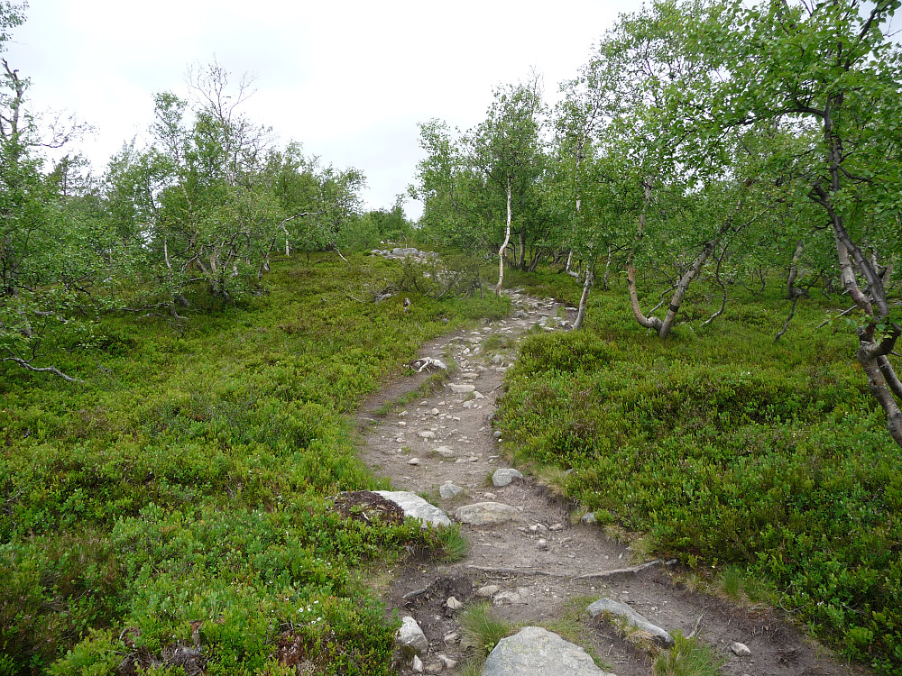 Stien fra turistparkeringa
