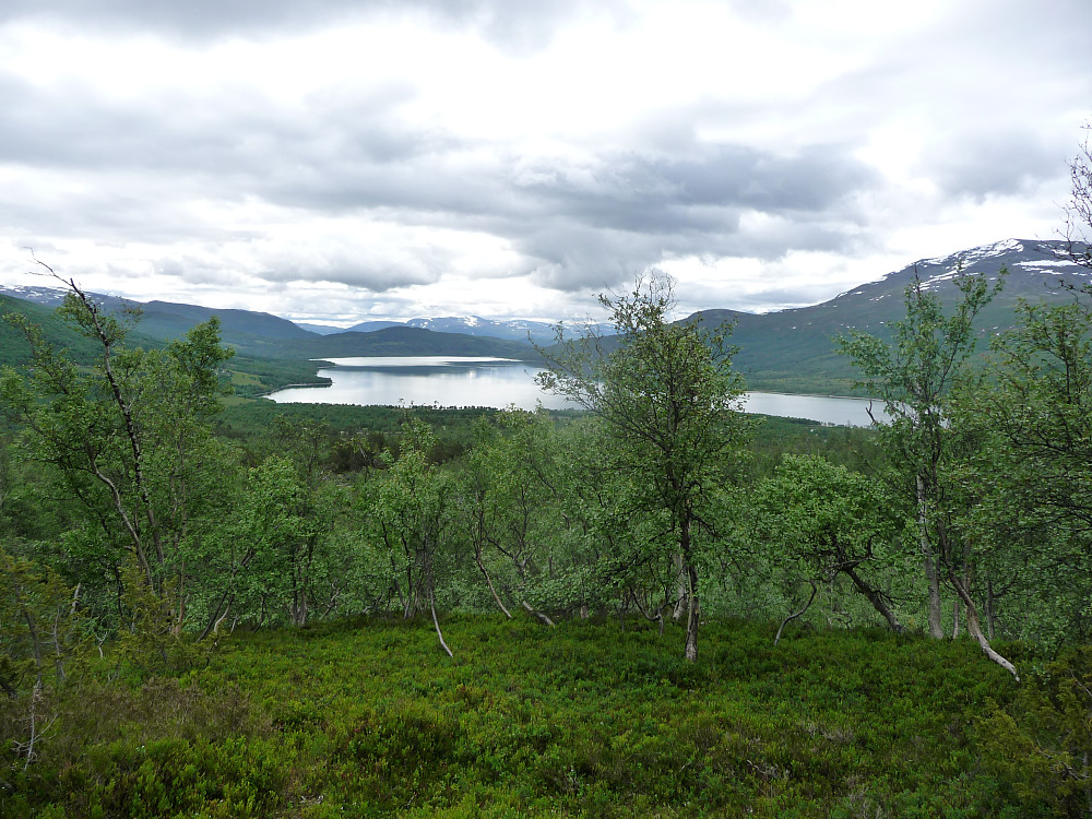 Tilbakeblikk mot Gjevilvatnet fra litt oppe i Lia
