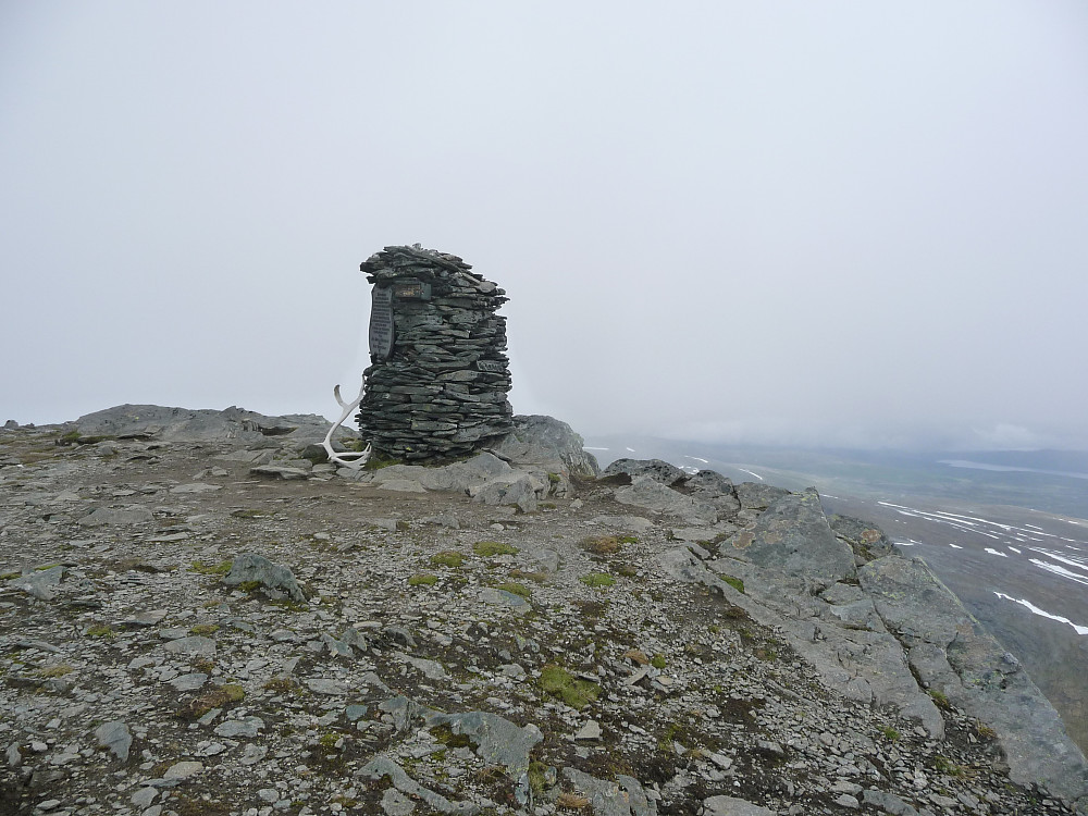 Toppvarden