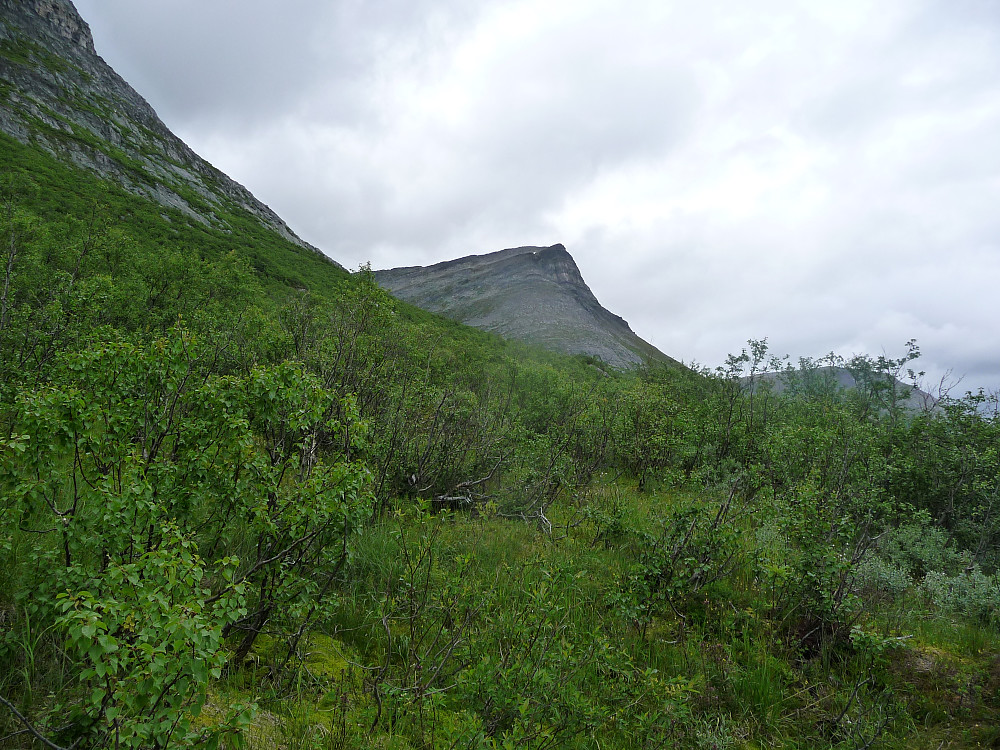 Midtre Gjevilvasskammen