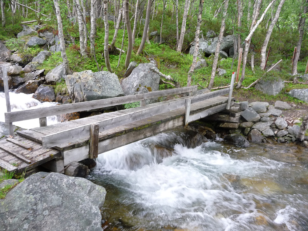 Bru på stien fra Vassendsetra mot Gjevilvasshytta og parkeringa