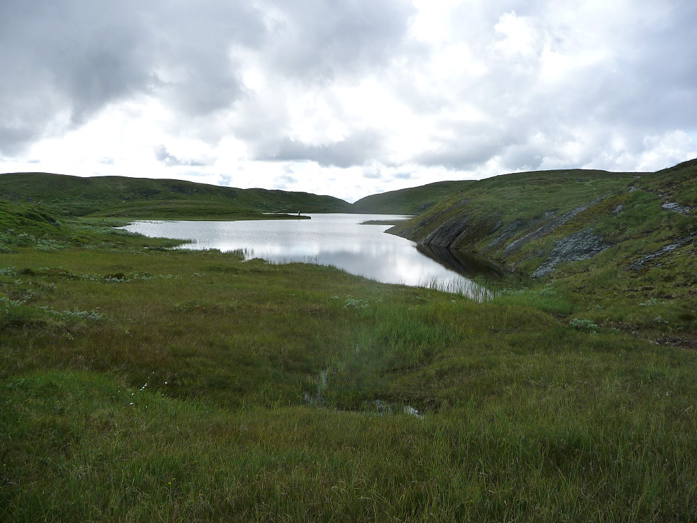 Hårskalltjønna