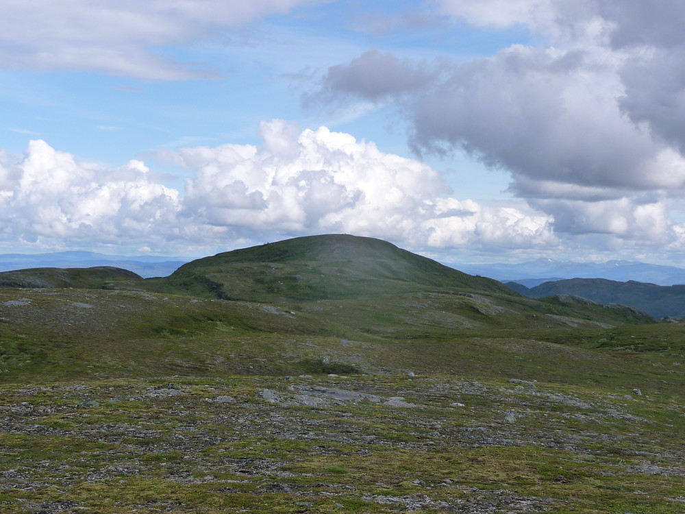 Hårskallen fra vest
