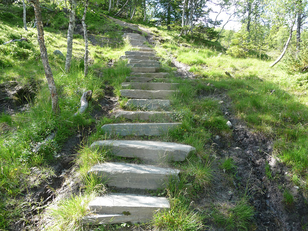 Steintrapper i starten