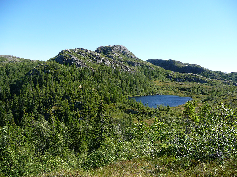 Grønnliklumpen fra vest
