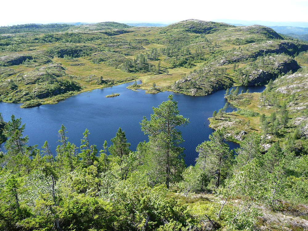 Gammeldammen