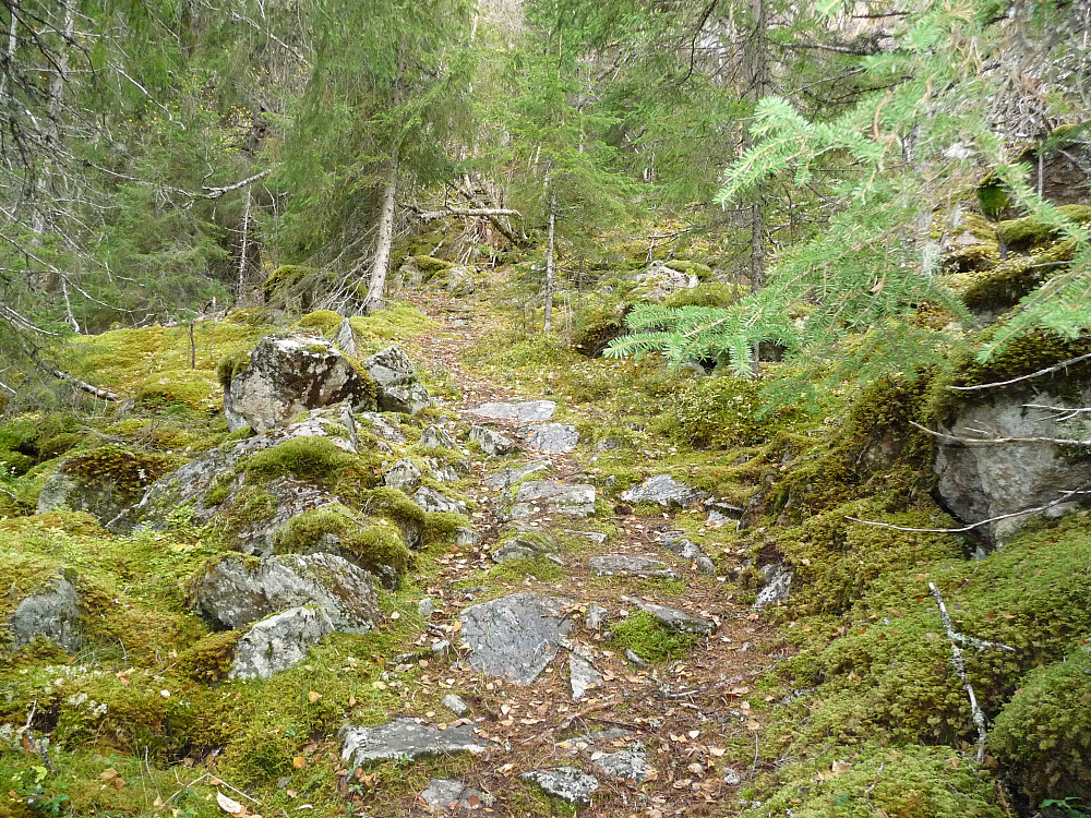 Stien Fjellvegen opp fra Hindrem