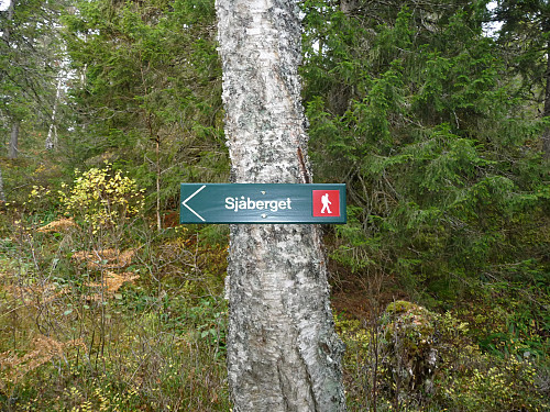 Utsiktspunkt