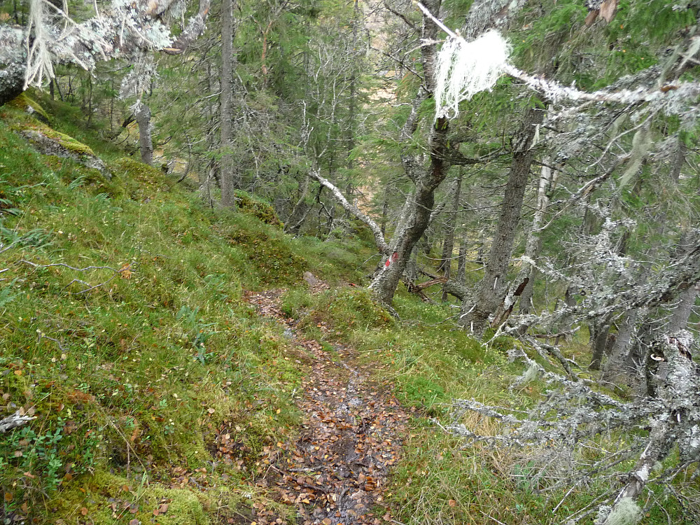 Stien på vestsida av Leirsklumpen