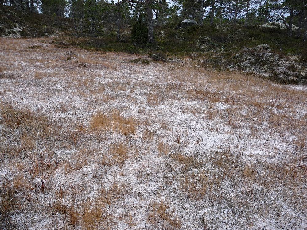 Første smak av vinter sjøl om det er lite ennå.