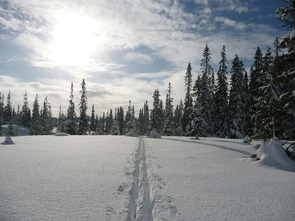 Nysnø, meg og lite annet