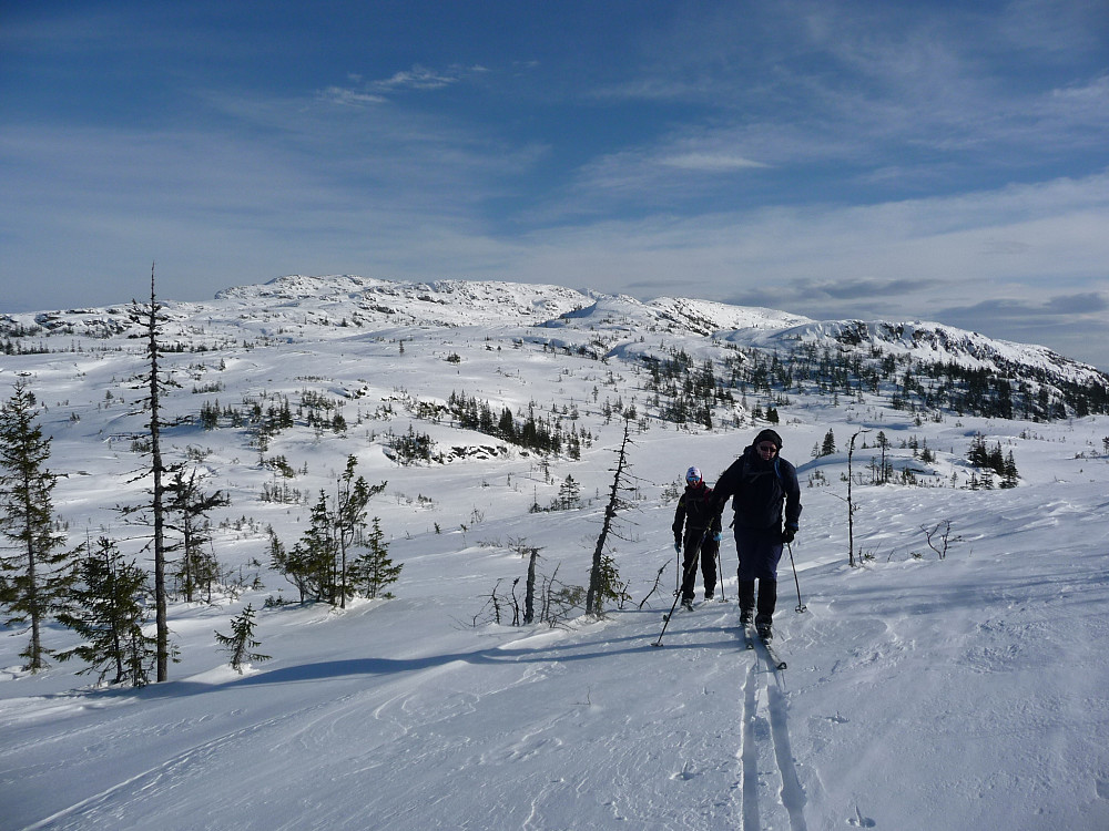 På tur opp mot Magnhildheia. Pissarheia og Kjerringklumpen i bakgrunnen.
