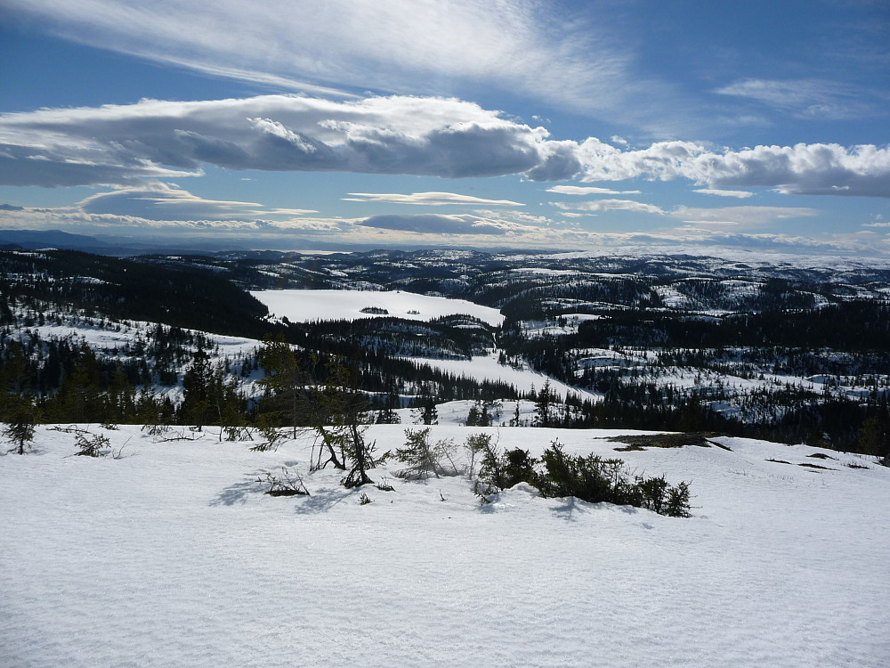 Fra Slettliheia mot sør (Storjuvatnet)