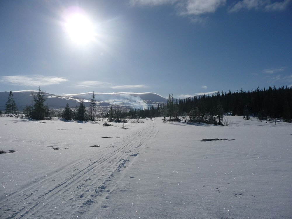 Morgenstemning mot Skjækervatnet
