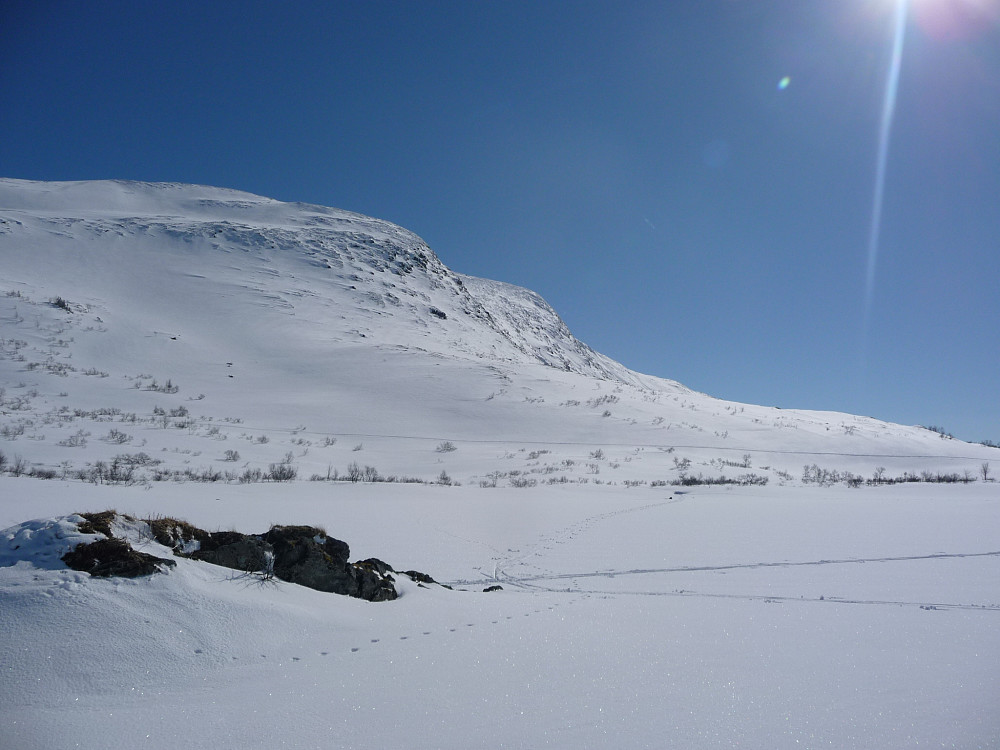 Fra Fjellskjækra mot Skjækerhatten
