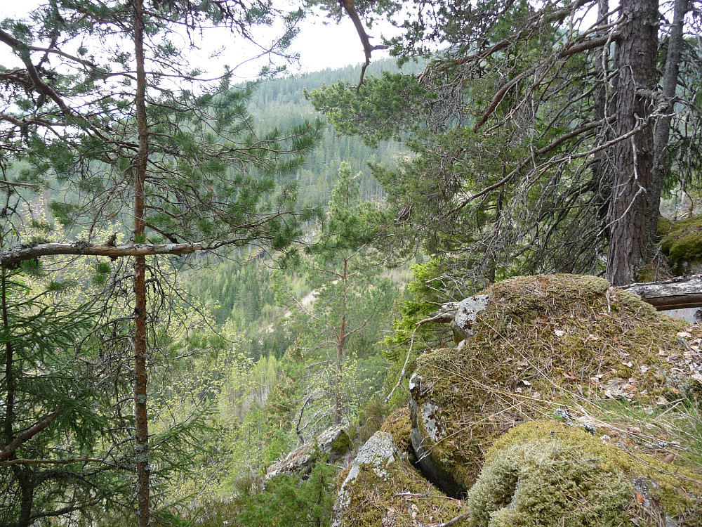 Utsikt over Hestdalen