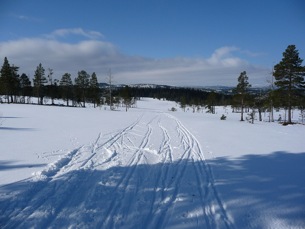 Fint skiterreng i grenseland