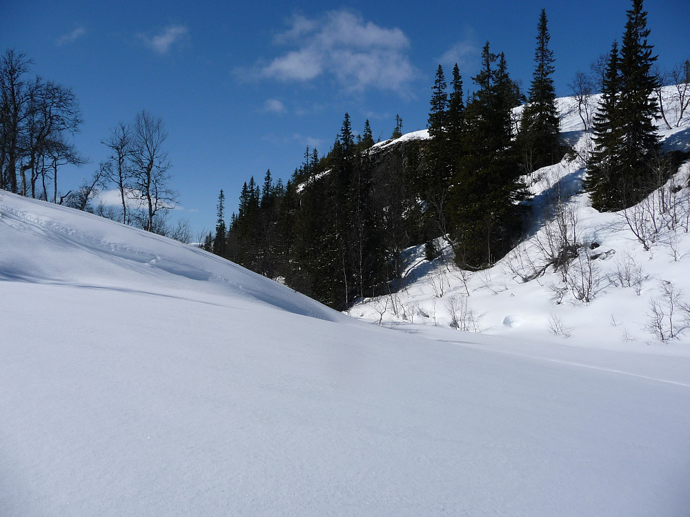 Vargtjønndalen