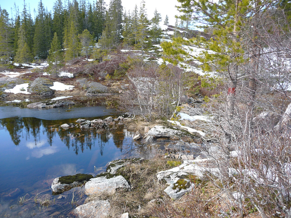 Ved Hallvardstjønna