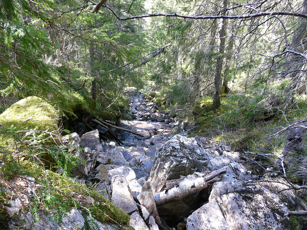 Bekk ned mot Bjørvikdalen