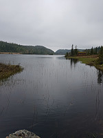 miombo_20170528_592af47d01741.jpg