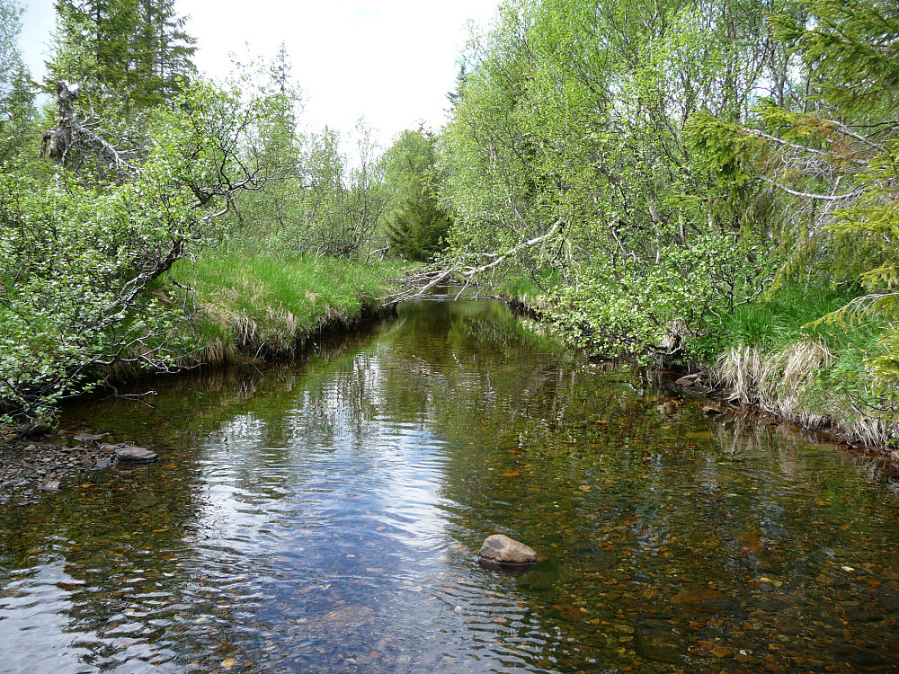 Fagerheibekken nede i Klumplidalen