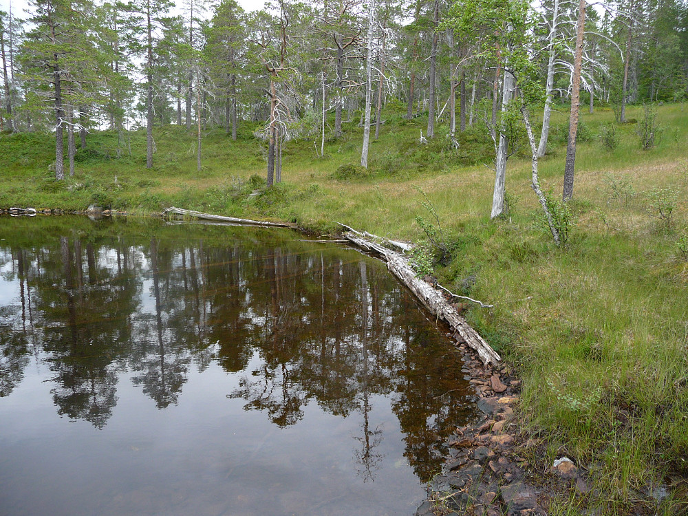 Østre enden av Storbårvatnet