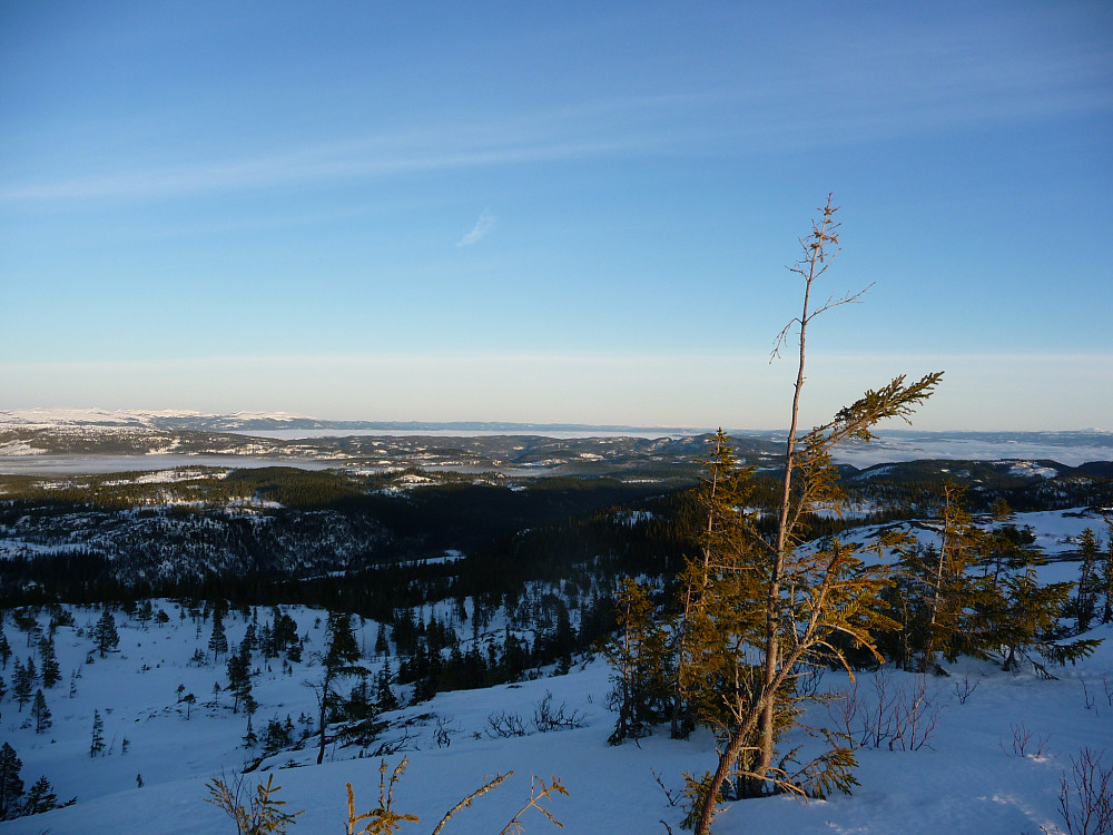 Nord østover fra Storknuken. Mye skodde/frostrøyk i Beistadfjorden og i den indre delen av Trondheimsfjorden