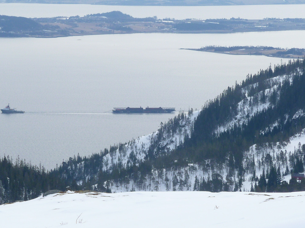 Store ting som beveger seg på fjorden