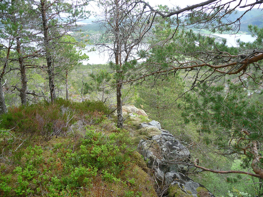 Parti fra stien ned