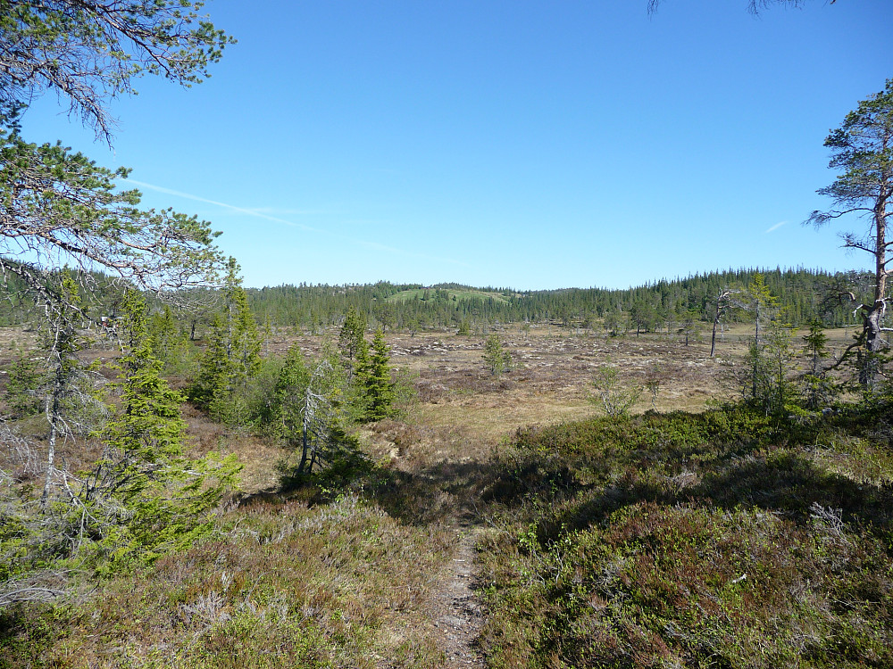 Fra stien med utsikt mot Talmosetran.