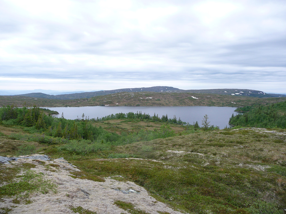 Kveinnbølet