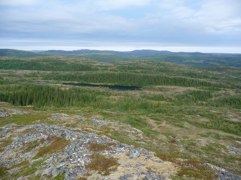 Utsikt mot Fiskløysa
