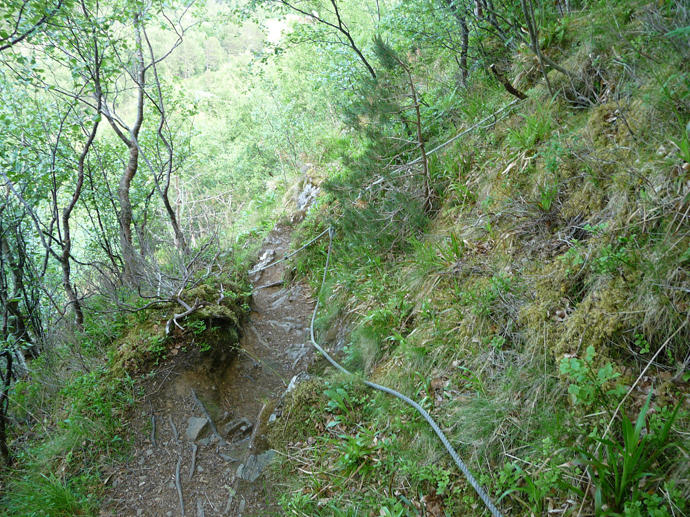Tau i stien opp