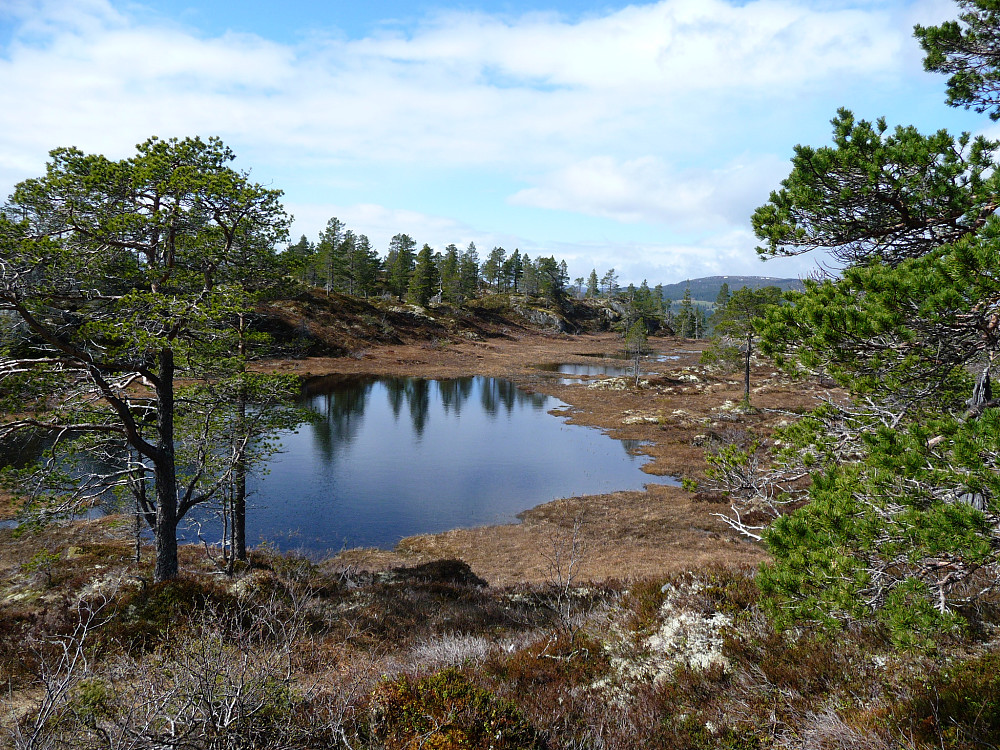 Noen minutter senere et tjern ved Høylasset i sol.