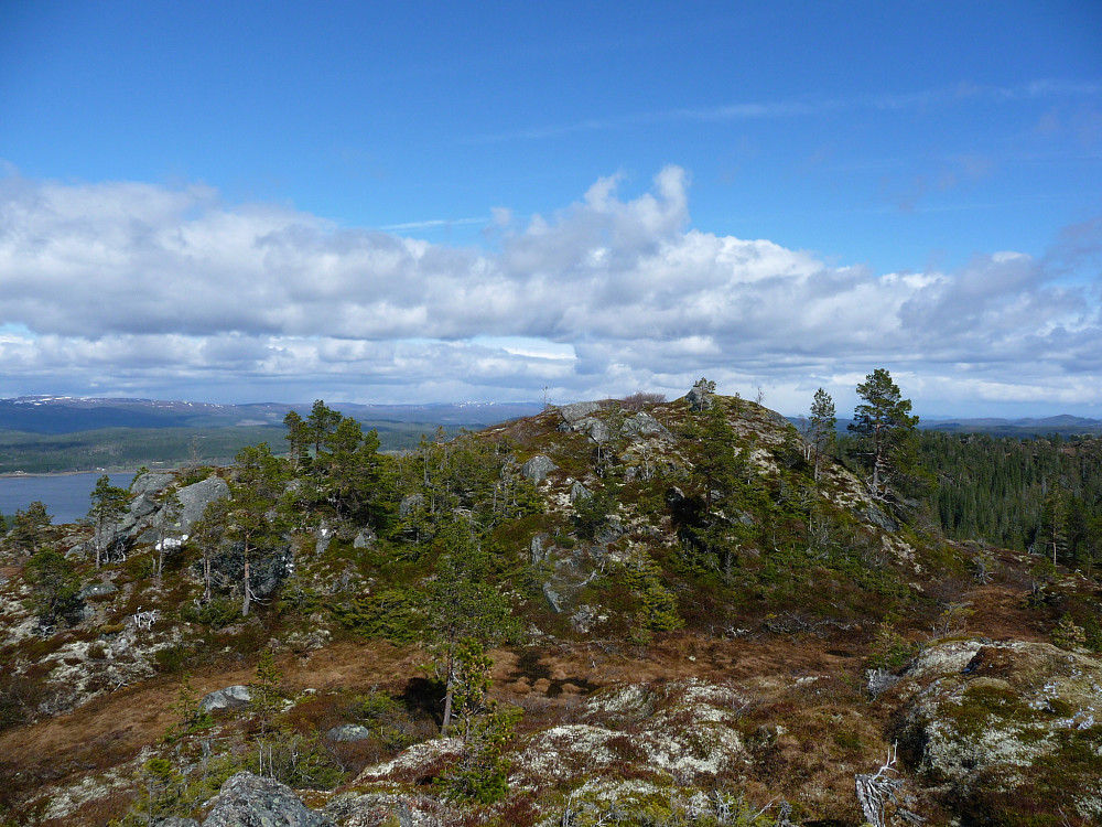 Høylasset i nordøstlig retning