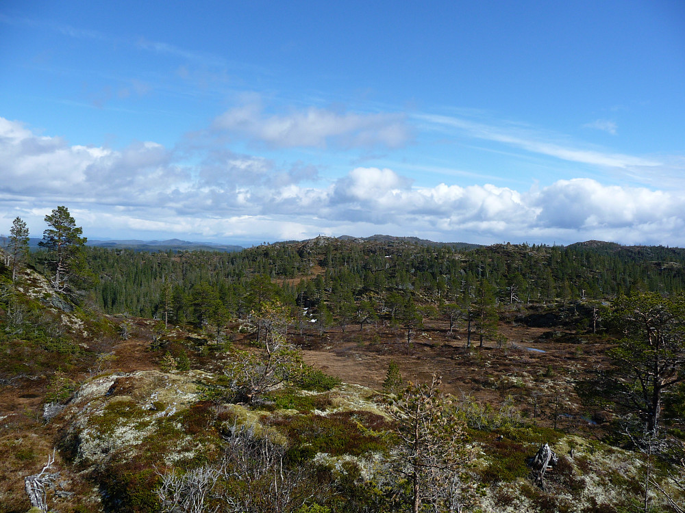 Mot neste mål, Rotheia, varden synes så vidt.