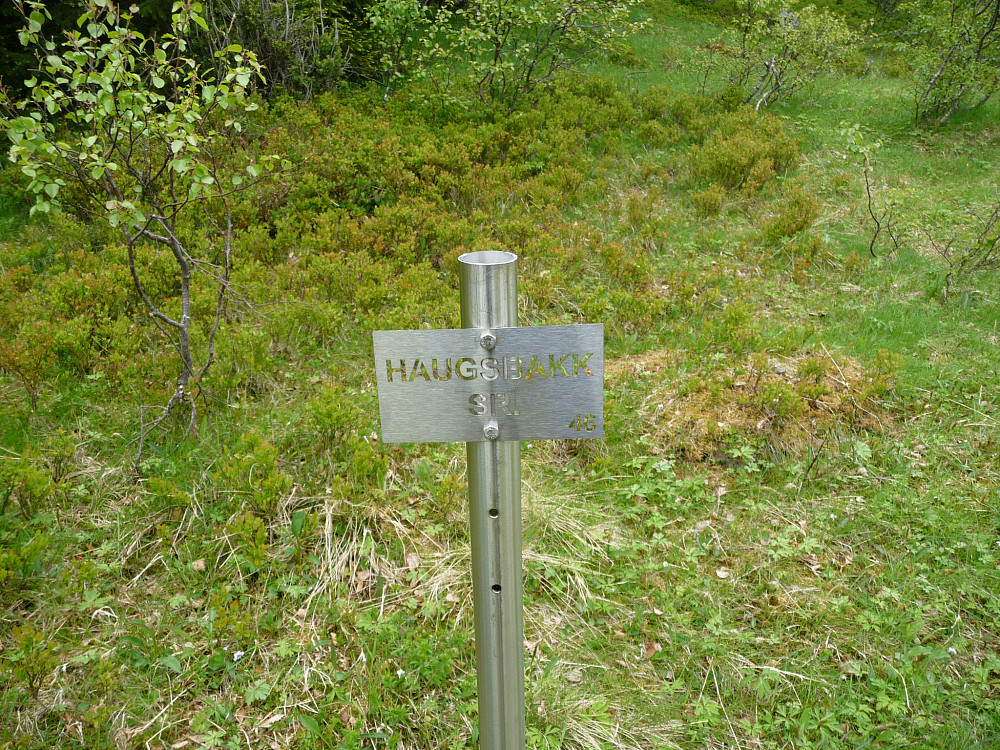 Gamle Haugsbakksetran