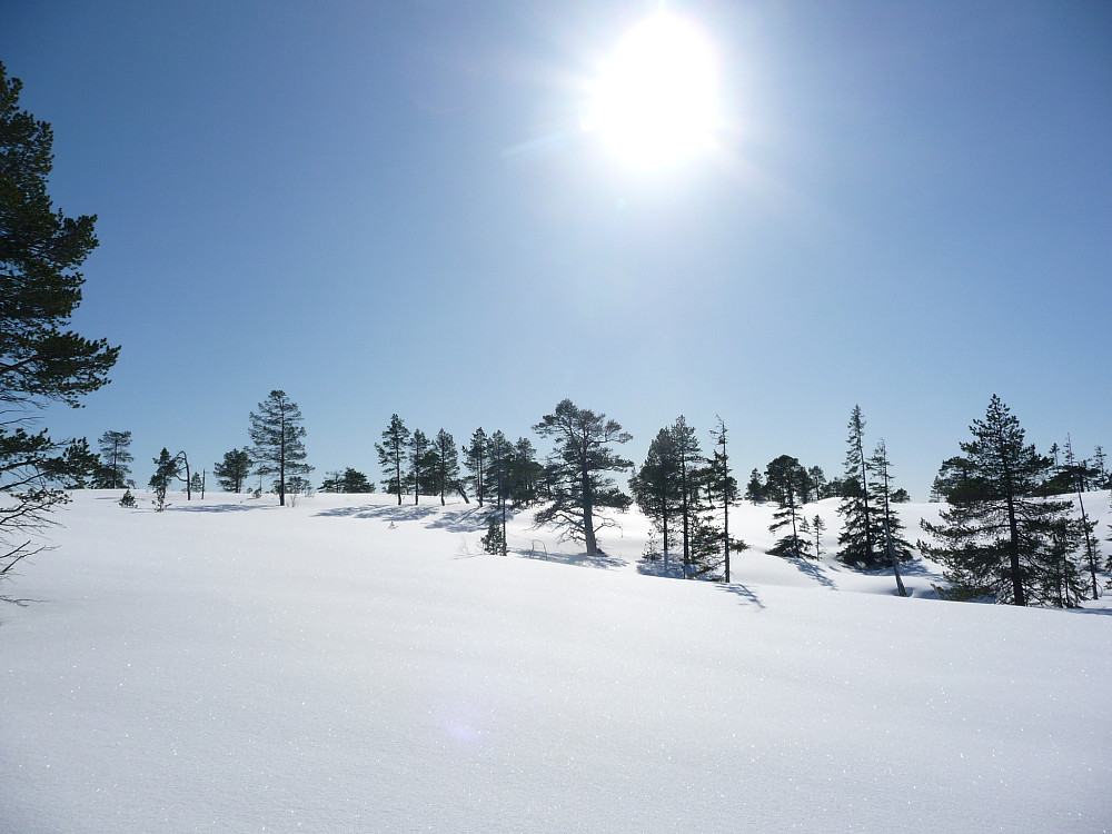 Øst for Litjgavellangen