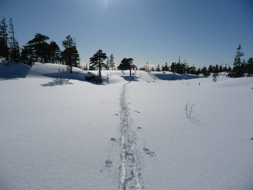 Bare mine spor i jomfuelig snø. Ingen koronafare her