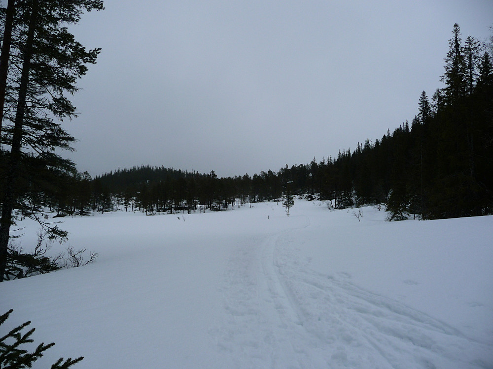 Nord for Storheia