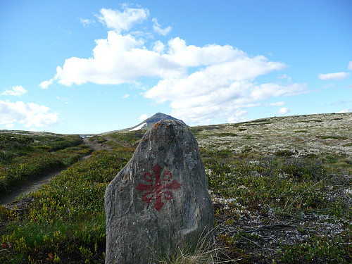 Kirka trenger seg på overalt
