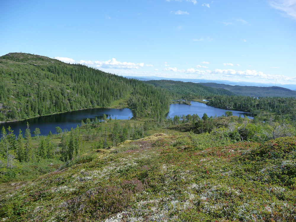 Utsikt fra LitjKnuken vest mot Knuktjønnin
