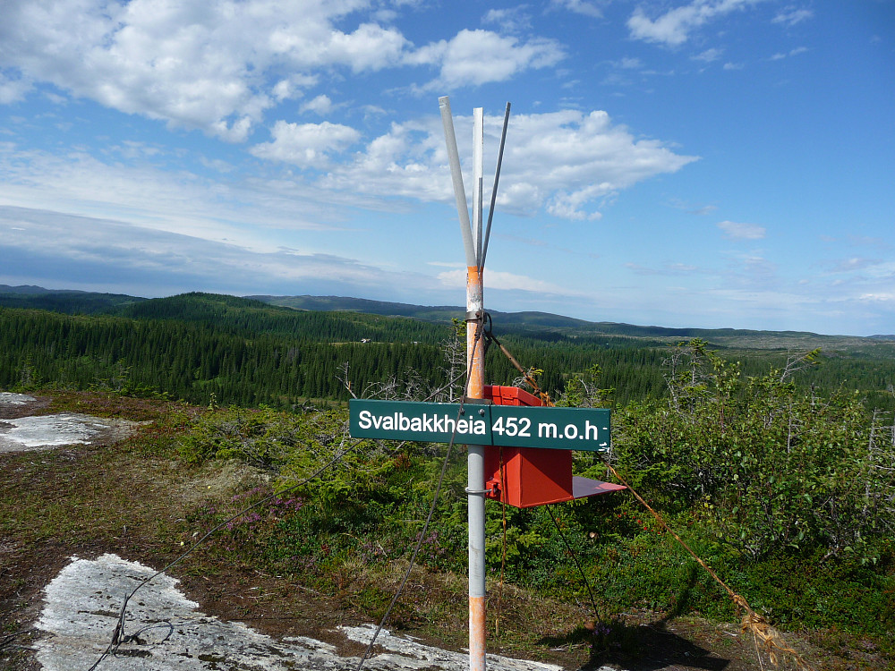Toppen av Svalbakkheia