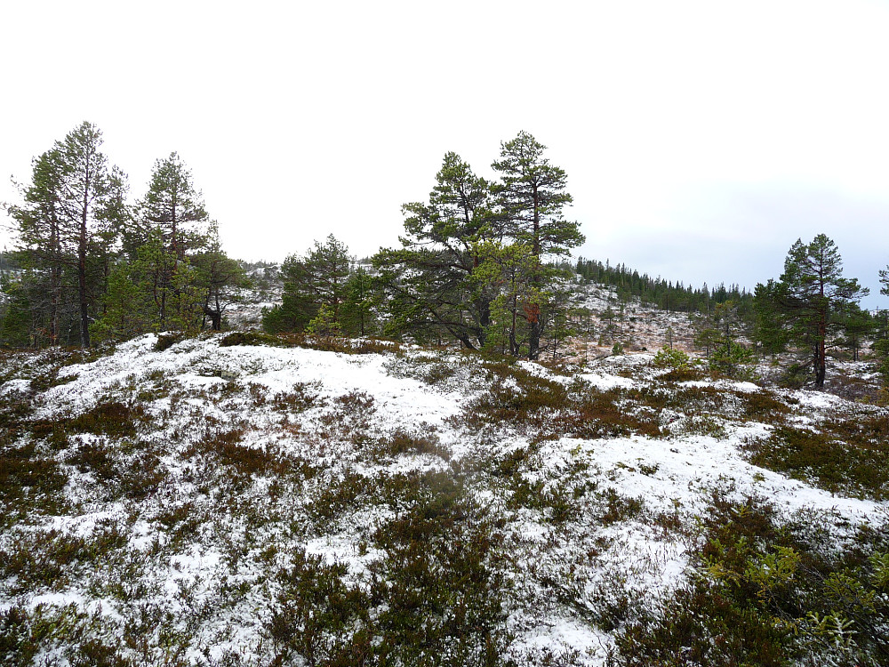 Snø på vei opp